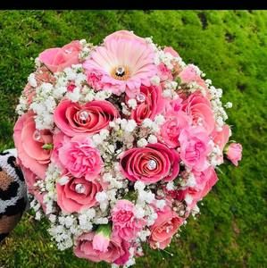 Meet your Posher, Erika